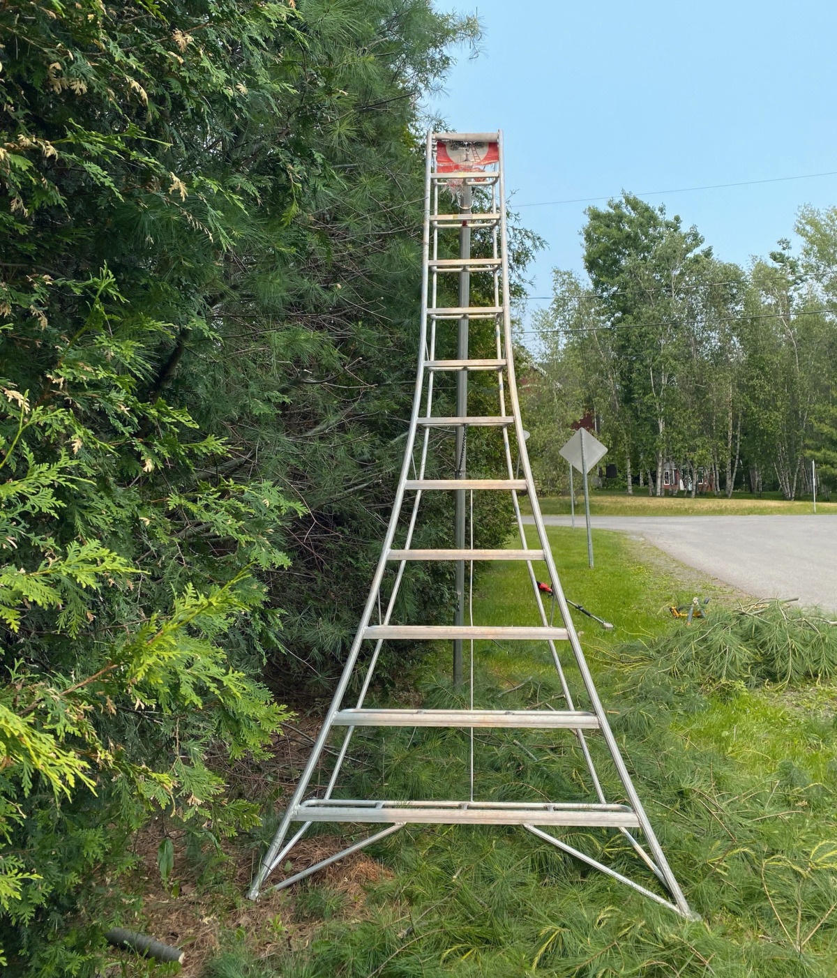 Tree Ladder Tree Émondage Red Ladder Tree Services | Tree Pruning & Removal in St-Lazare